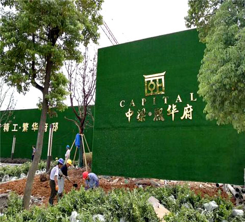 1603071458151249.jpg 1520565809.jpg