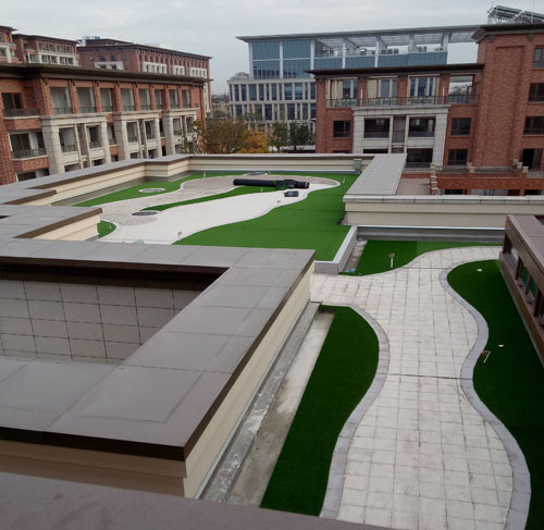 1603071930103716.jpg 1520565809.jpg