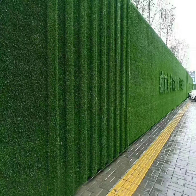 1603077279168834.jpg 1584088368545325.jpg