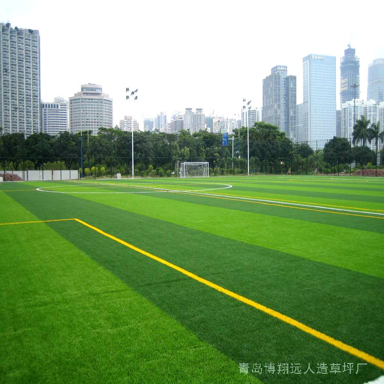 1591667617240095.jpg 2018 (68).jpg