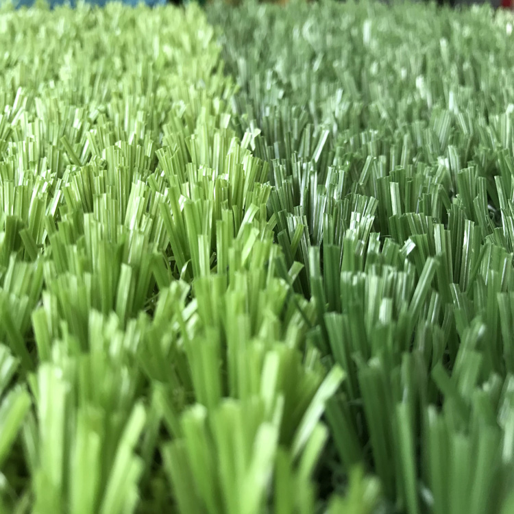 1616394440184786.jpg IMG507 (29).jpg